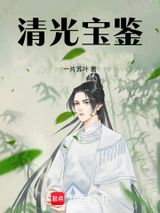 清光宝鉴txt最新章节下载-清光宝鉴小说精校版免费下载