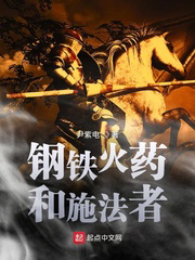 钢铁火药和施法者txt最新章节下载-钢铁火药和施法者小说精校版免费下载
