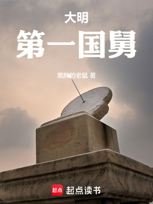 大明第一国舅txt最新章节下载-大明第一国舅小说精校版免费下载