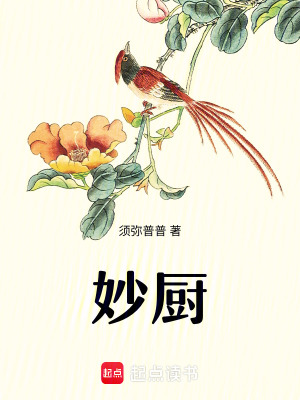 妙厨txt最新章节下载-妙厨小说精校版免费下载
